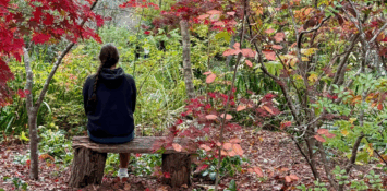 The bliss of a quieter ego