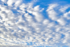 What is a transcendent experience?