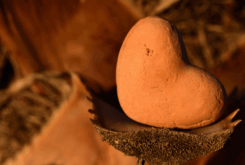 September: Formed and Shaped By God 