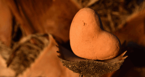 September: Formed and Shaped By God 