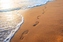 Doubt and Discipleship to Jesus