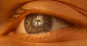 November: Seeing and Being Seen 