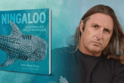 Ningaloo – ‘desert with its feet in the sea’