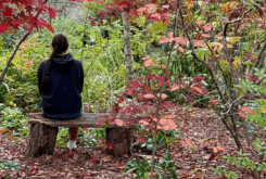 The Bliss of a Quieter Ego