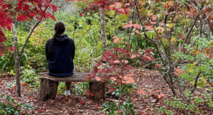 The Bliss of a Quieter Ego