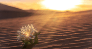 December: Trusting the God of Tomorrow 