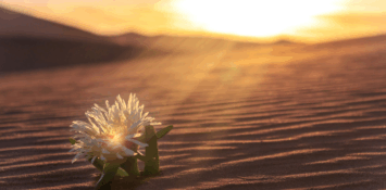 December: Trusting the God of Tomorrow 