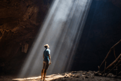 January: The Light That Leads Us On 