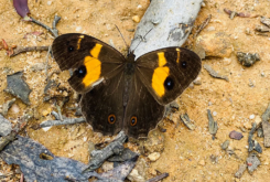 It’s the Small Things