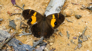 It’s the Small Things