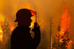 What Australia’s Burning Summer Is Telling Us