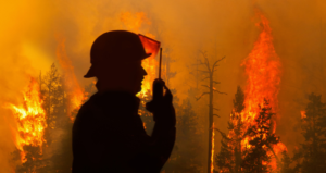 What Australia’s Burning Summer Is Telling Us