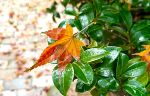 The “Ordinary Spirituality” of Death