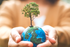 Creation Care as Faithful Worship