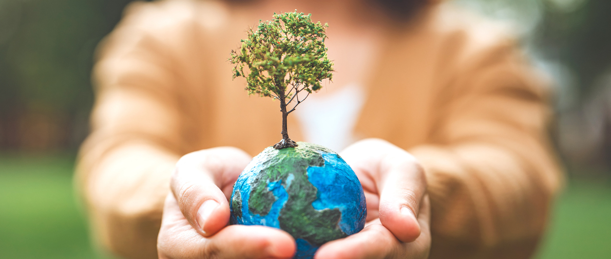 Creation Care as Faithful Worship