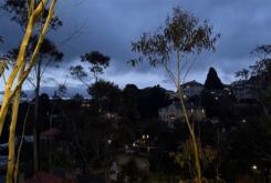 The Bright Shining Dark