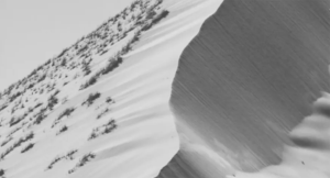 The Disappearing Edges