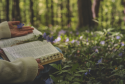 Lectio Divinia Or How Unhurried Attention Can Shape Our Faith