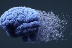What’s the Point of Education in an Age of AI?