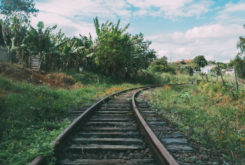 Living Untethered and the Golden Spurtle