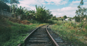 Living Untethered and the Golden Spurtle