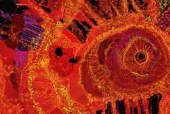 Still Here, Still Deadly, Still Fighting – NAIDOC 2026