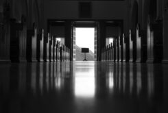 The Aging Elephant in the Room, and What Put It There 